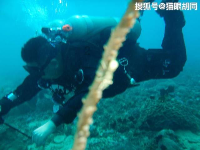 郑州房东降价40%仍难租，房子怎么变得这么难租了？游戏画面